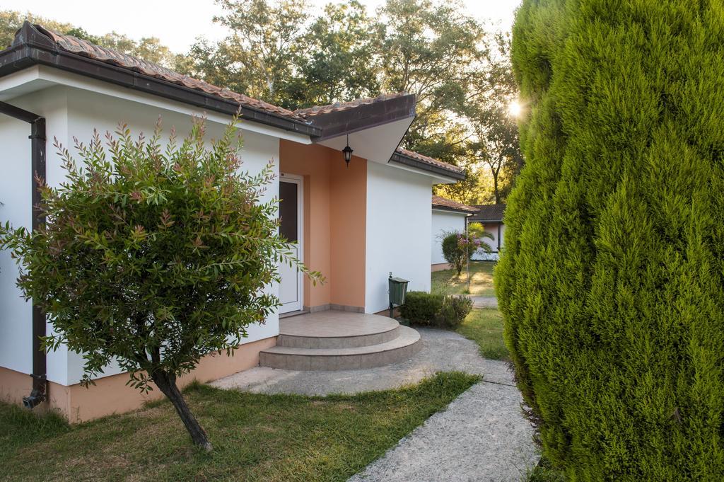 Htp Velika Plaza Ulcinj 호텔 객실 사진